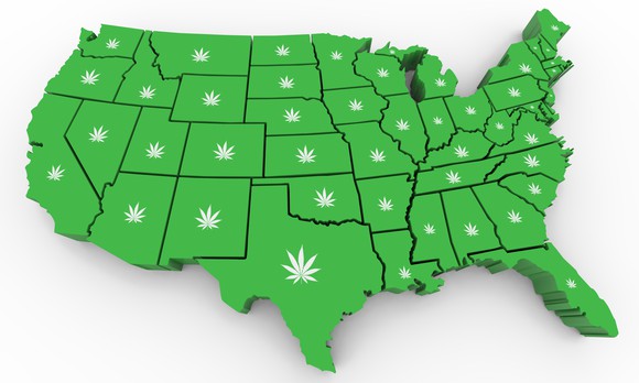 Green map of continental U.S. with cannabis leaf images on each state