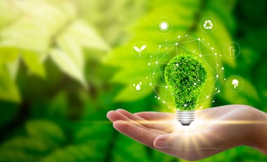 Eco-Friendly Industry