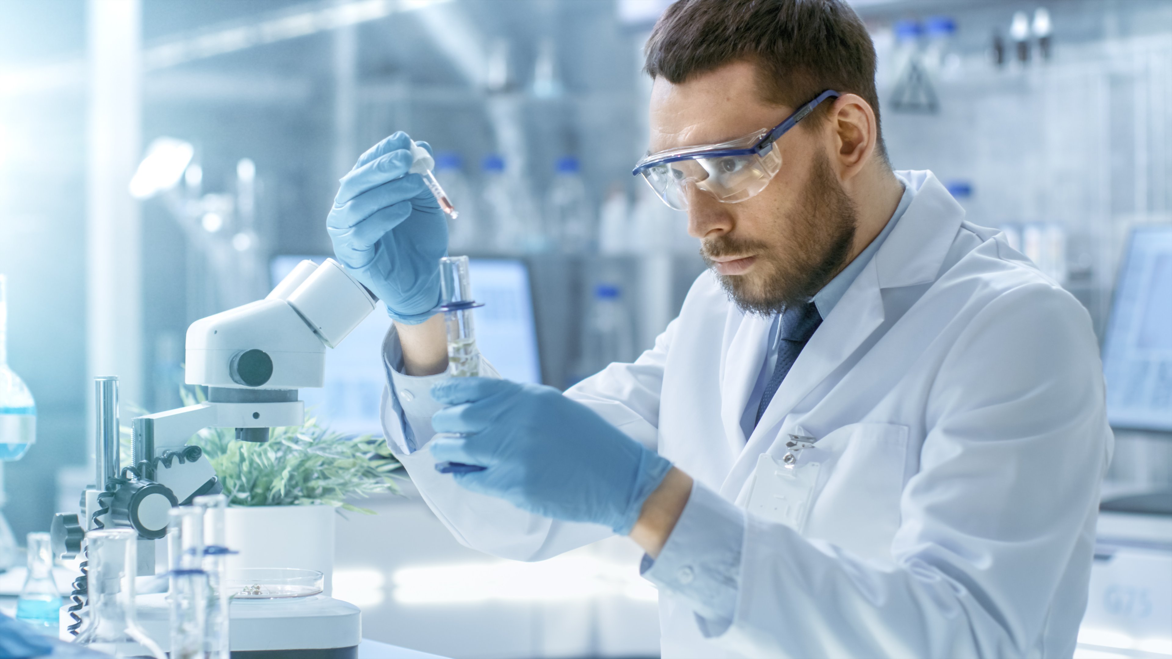 Laboratory Scientist Conducts Experiments by Synthesising Compounds with use of Dropper and Plant in a Test Tube.