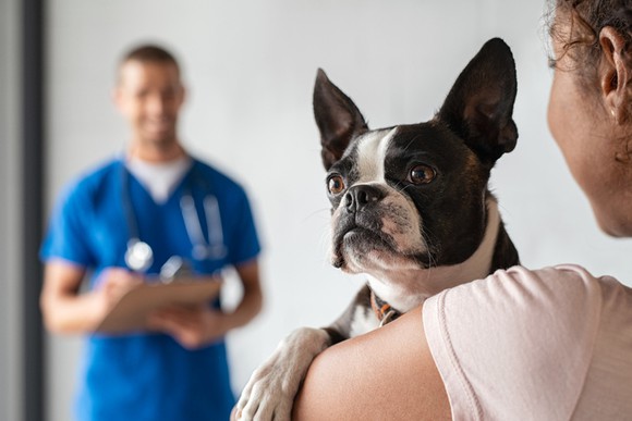 A woman bringing her dog to see the vet.