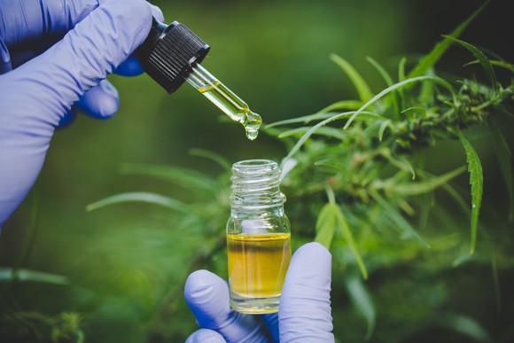 Two hands holding cannabis extract in a jar.