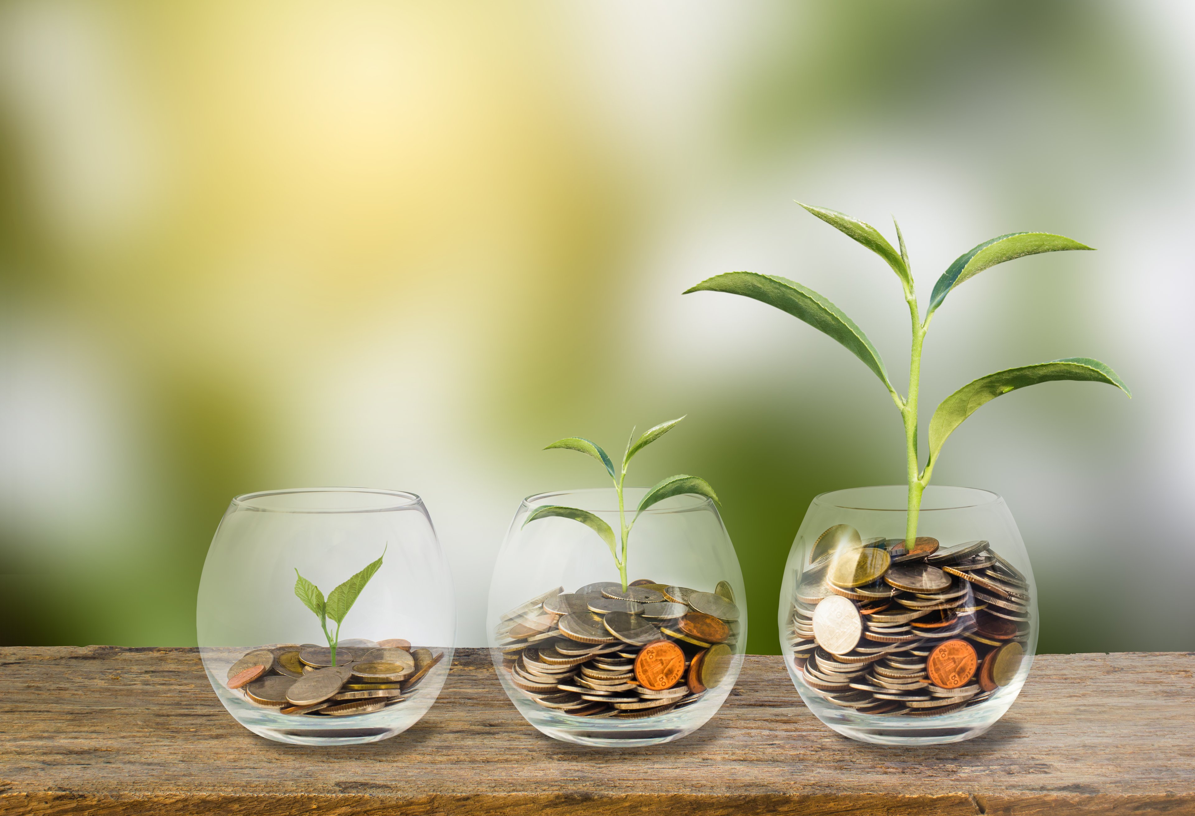 Three bowls of coins, each filled with progressively more coins and a larger green plant growing from them.