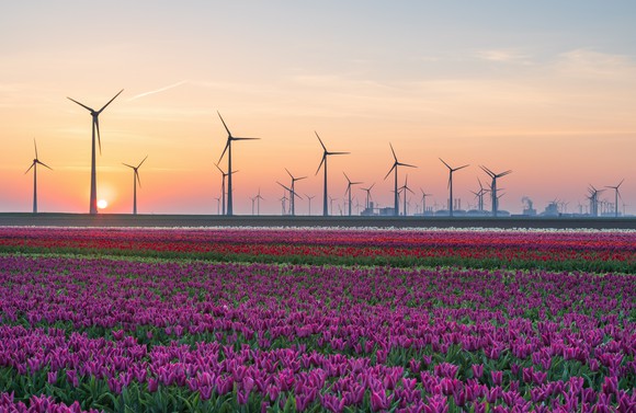 Dozens of wind turbines in a field of flowers with the sun setting in the background