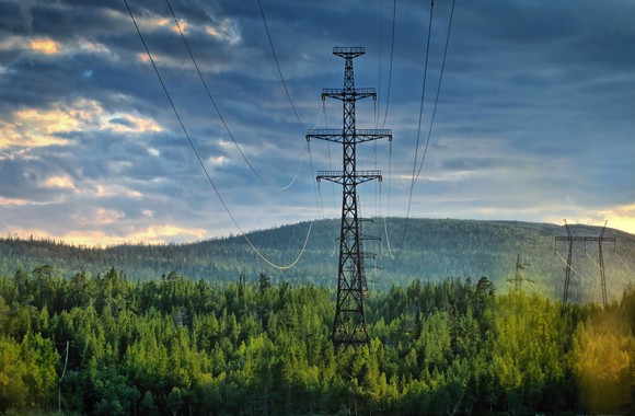 Electricity transmission lines through evergreen forest