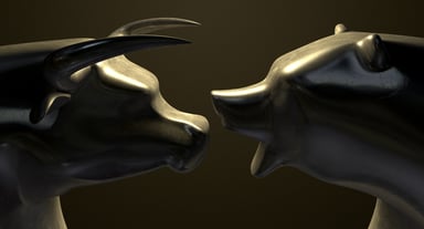 Bull Bear - GettyImages-188125499