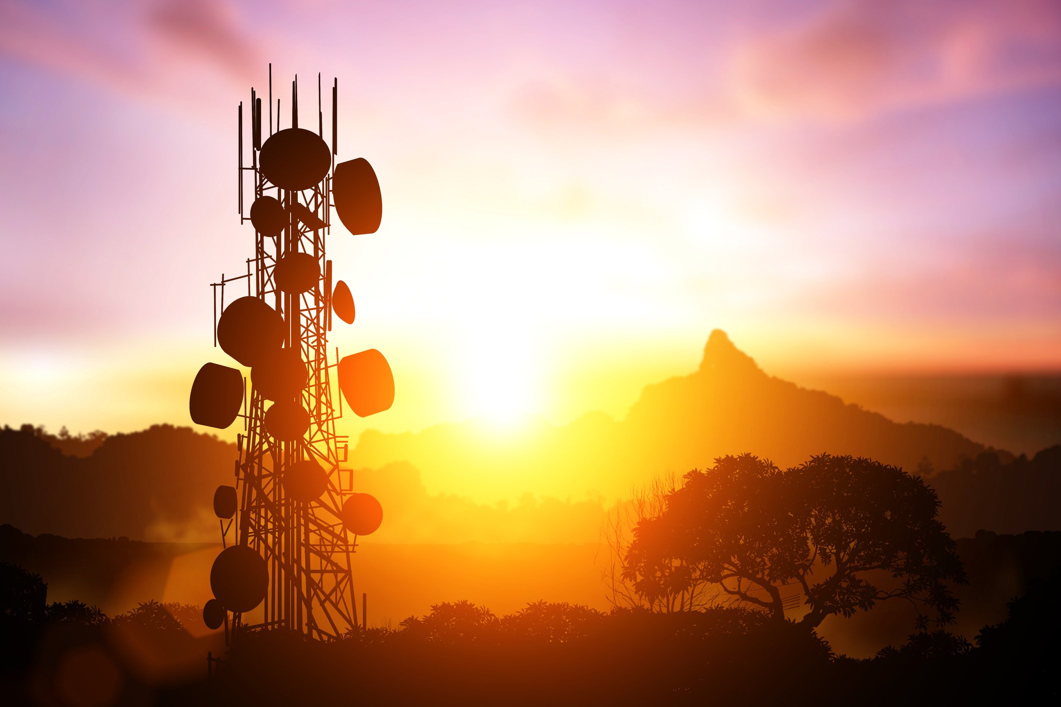 Silhouette of a densely populated cell tower against a colorful sunrise.