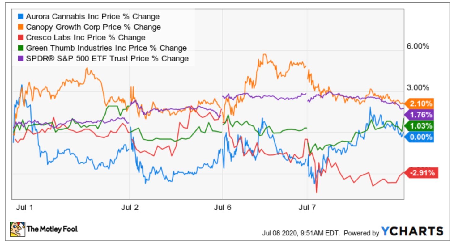 Cannabis companies' stock prices in July