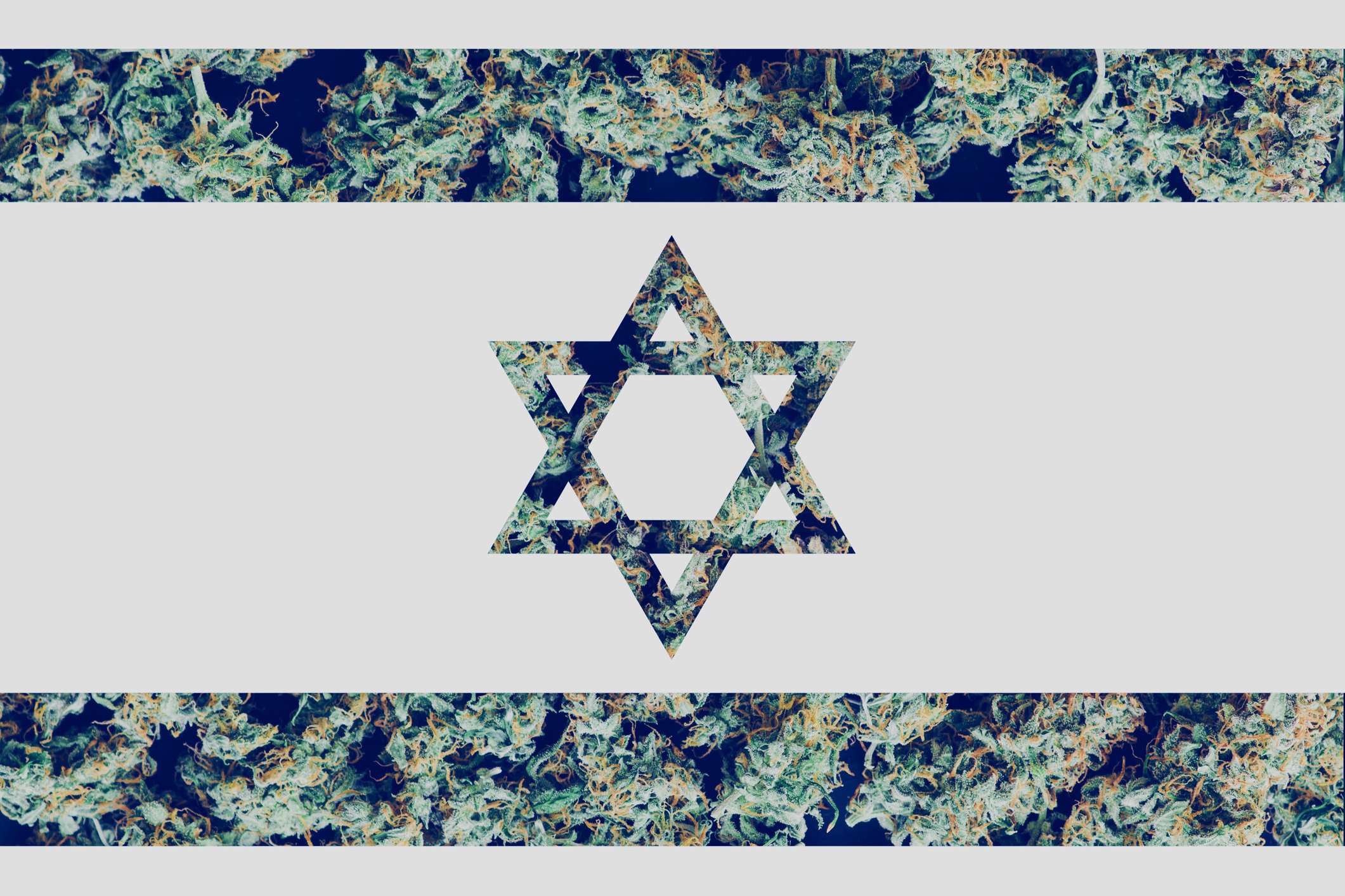 Israeli flag superimposed over marijuana buds.