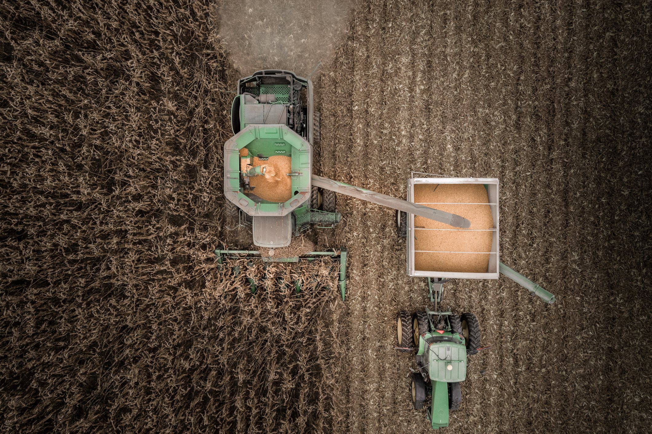 An overhead view of a tractor and combine moving through a corn field.