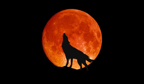 Wolf howling in front of a big red moon