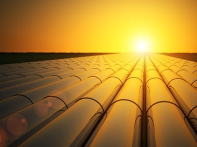Pipelines heading towards the bright sun.