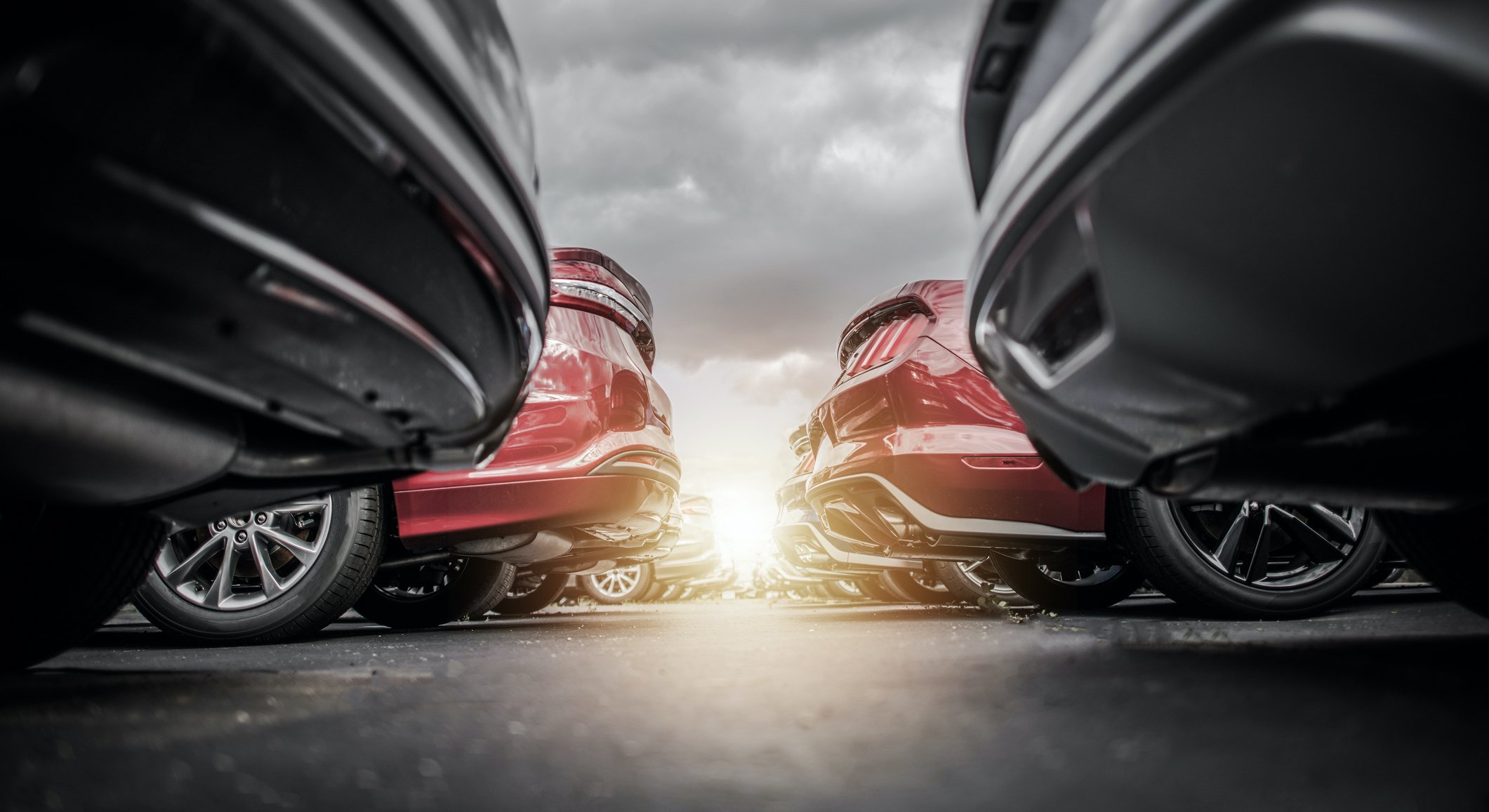 cars in a dealership lot