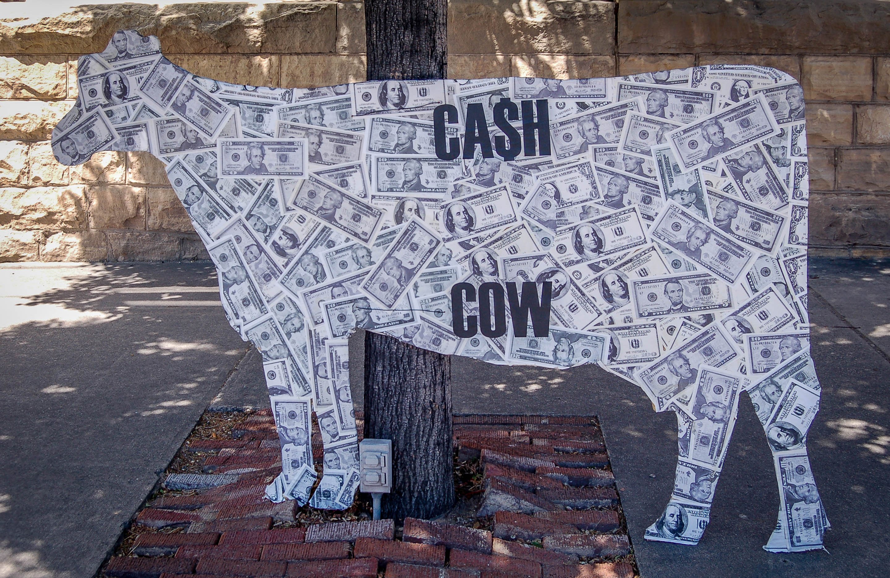 Cash stuck on a cutout shaped like a cow with the words "CA$H COW" 