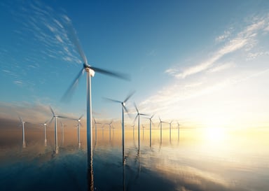 An offshore wind farm.