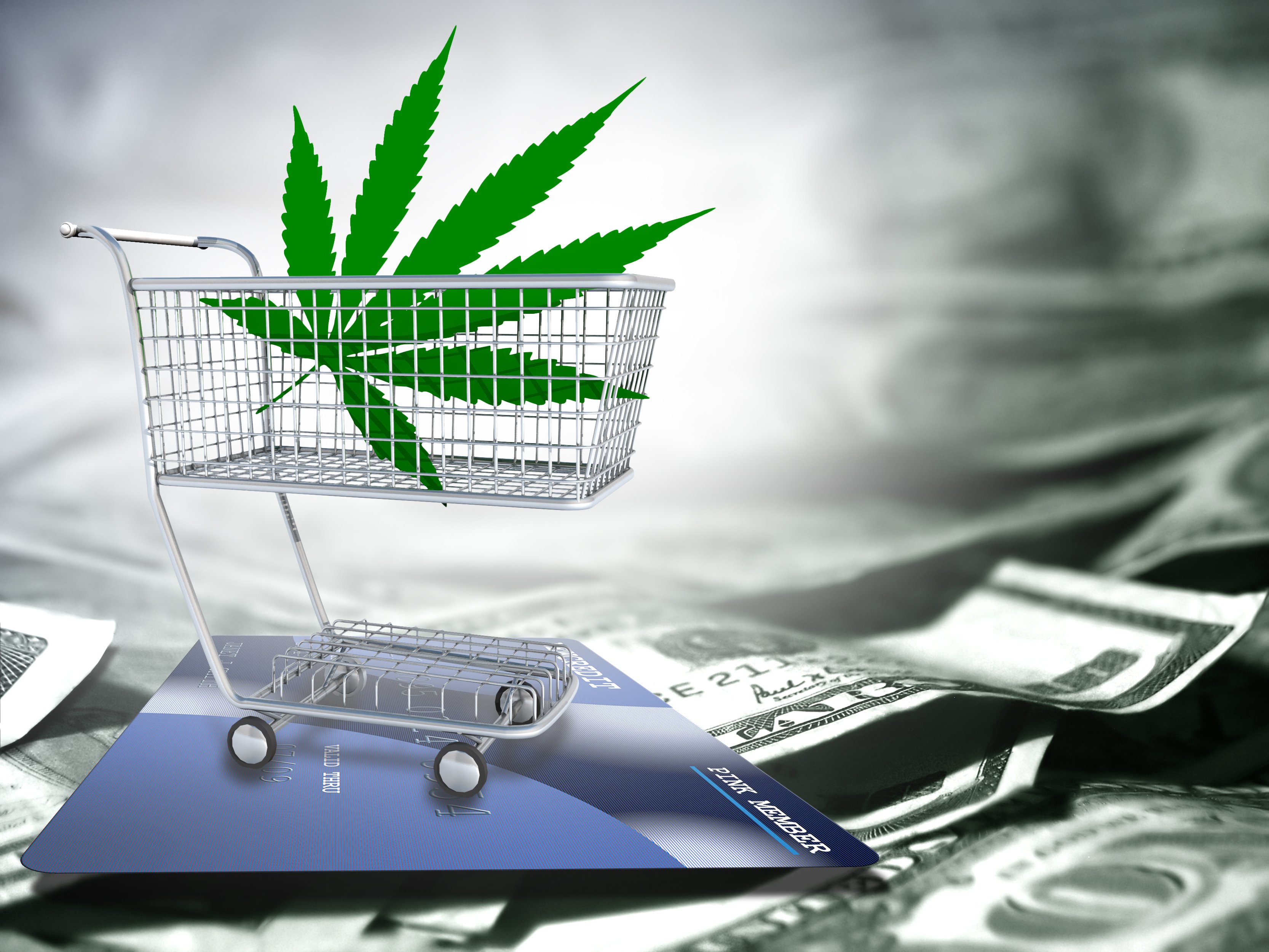 Marijuana stocks making money.