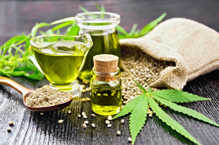 Cannabis plant, oil, and seeds on a table.