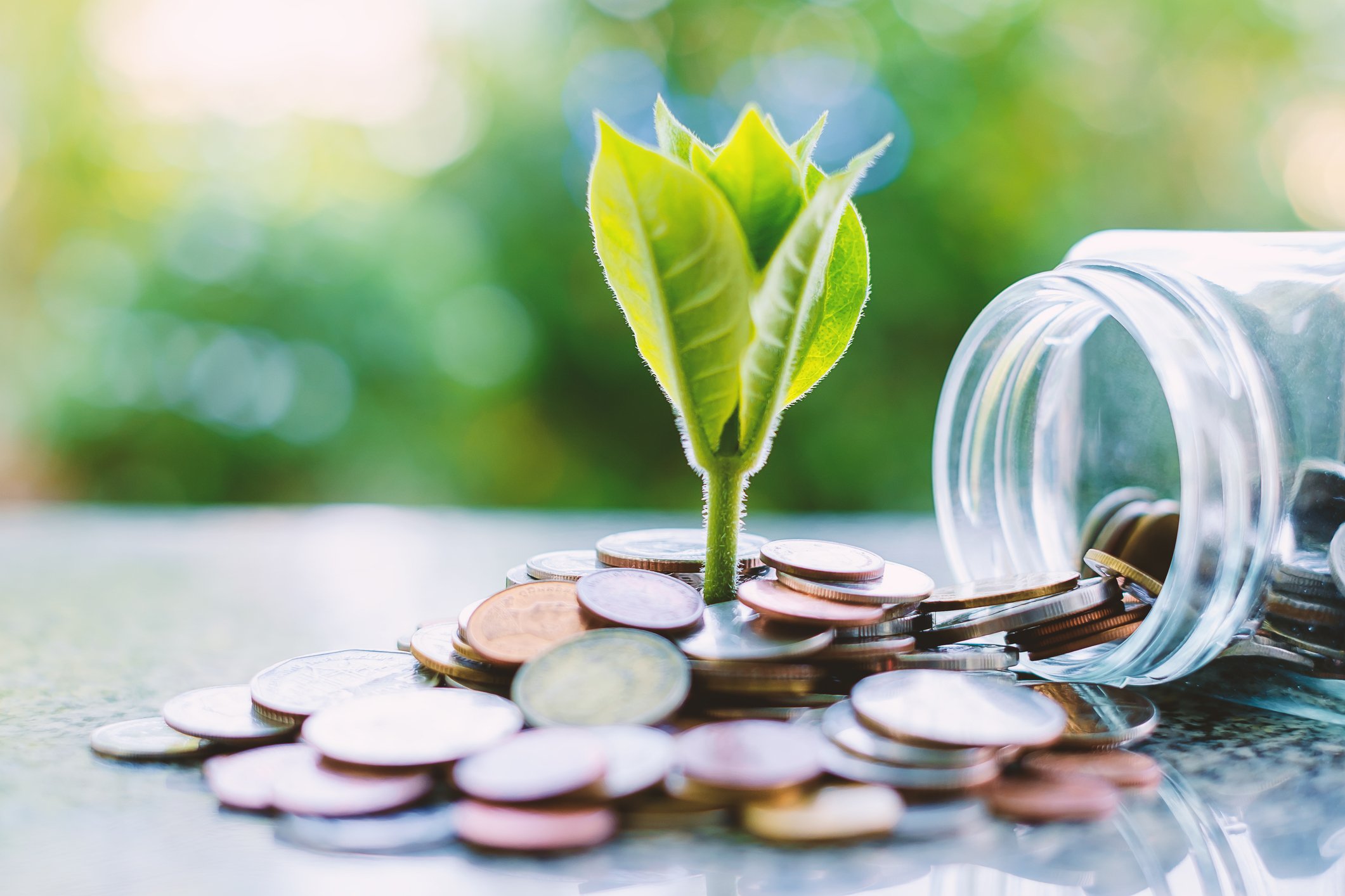 GettyImages-plant growing out of stack of coins