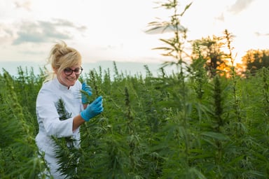 GettyImages-1168395165