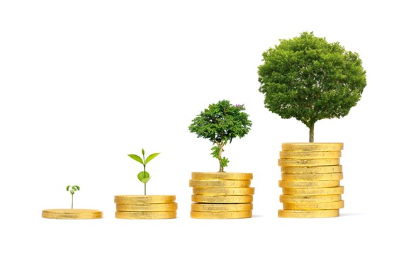 Stacks of coins increasing in size from left to right with   plants growing from their tops.