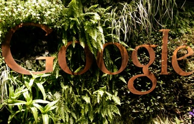 Google Sydney Reception Plants