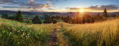 GettyImages-817306496