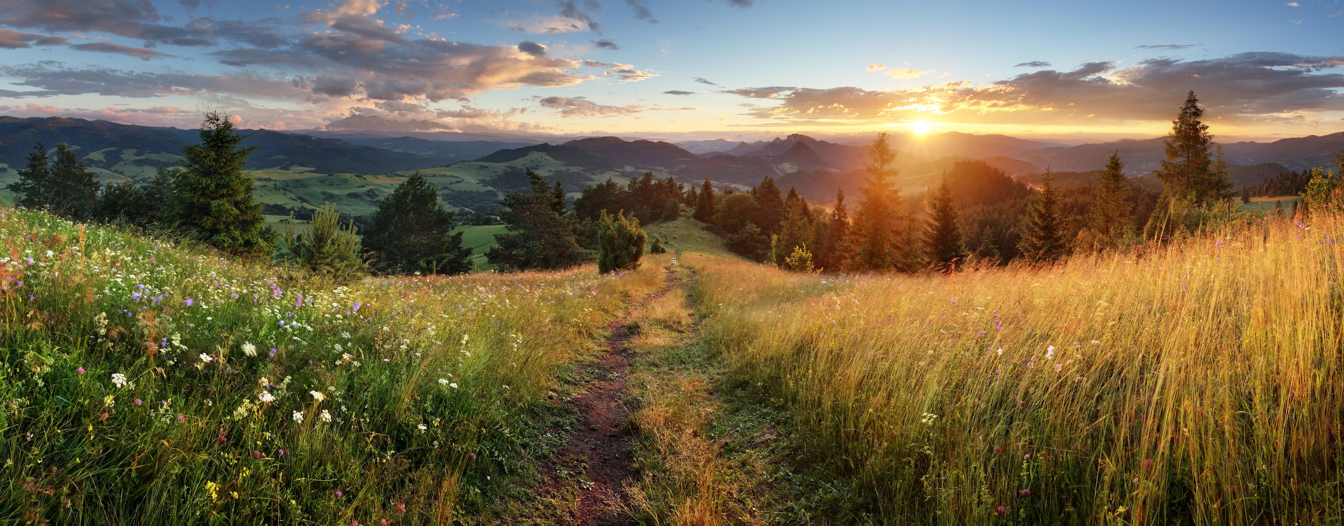 Summer panoramic landscape in mountains 