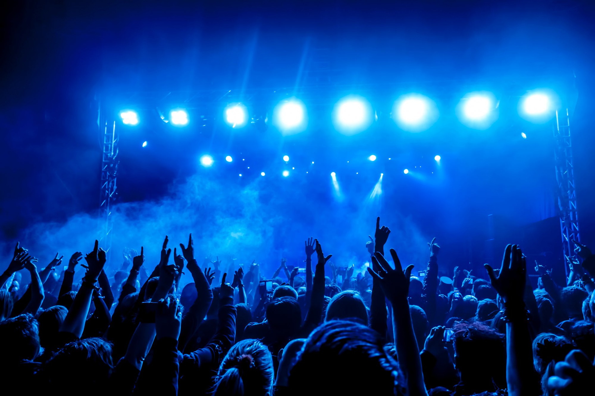 A crowded concert hall at a music show.