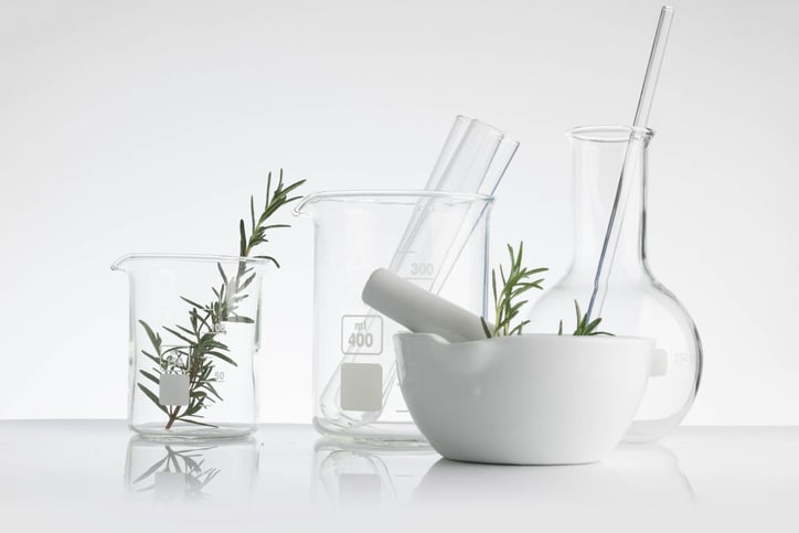 Lab beakers and a pestle with a plant inside.