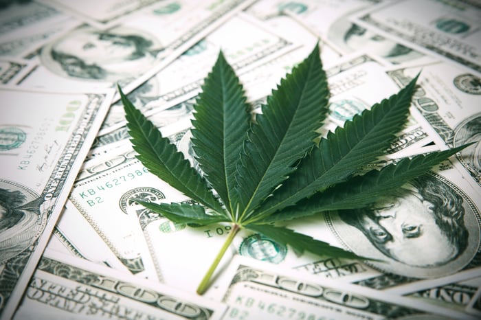 Marijuana leaf sitting on $100 bills.