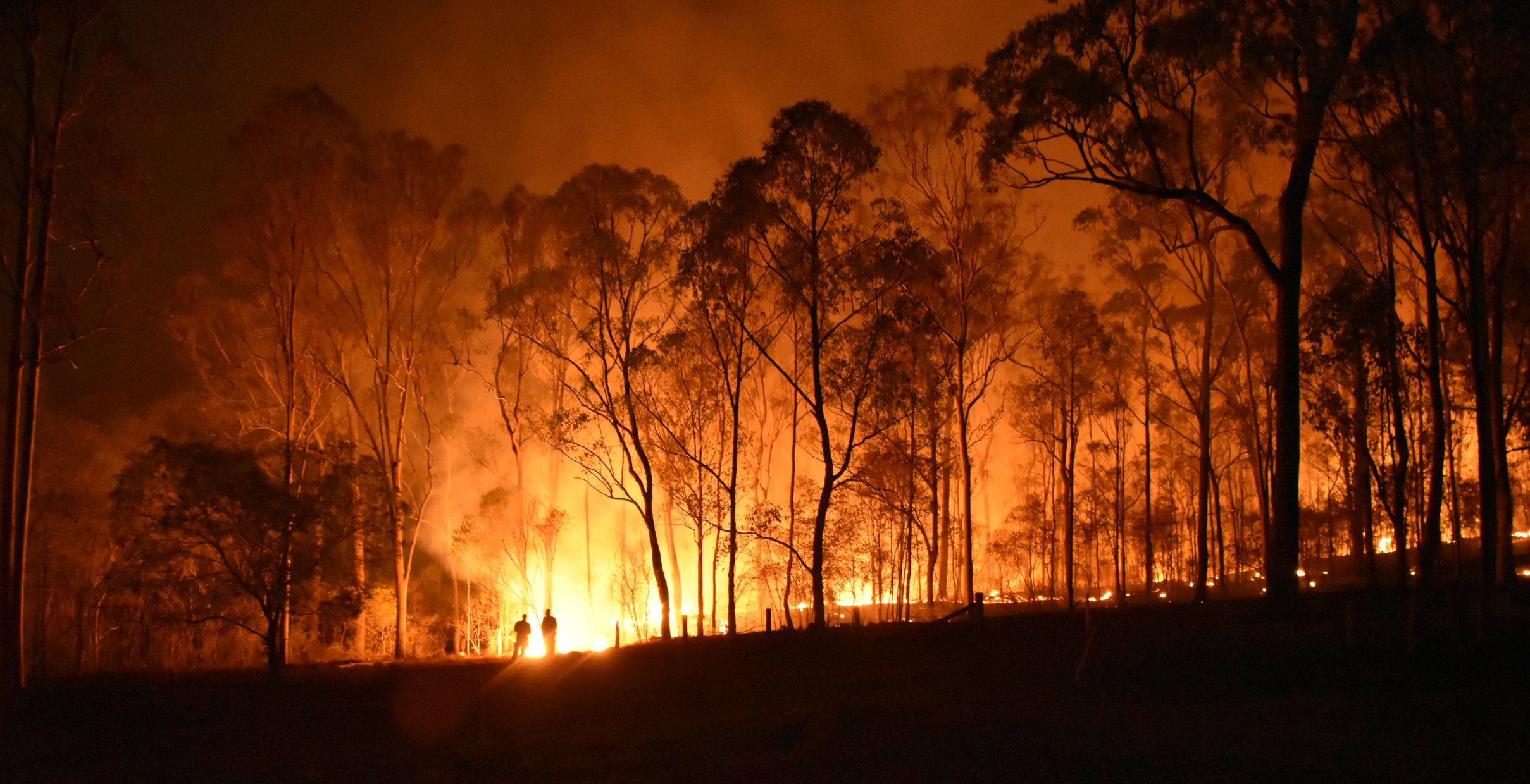 Two people silhouetted against a forest, with a wildfire raging in the background.