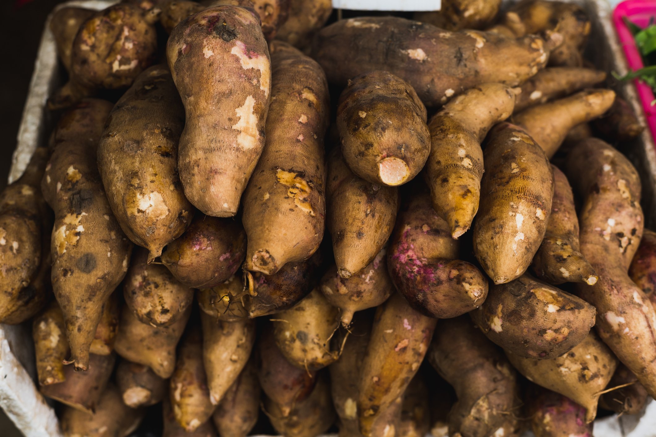A pile of yacon root. 