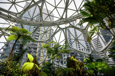 Amazon HQ Sphere