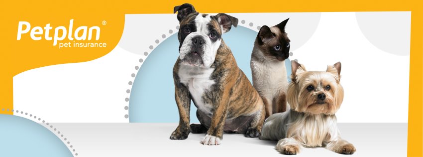 PetPlan logo with a cat and 2 dogs