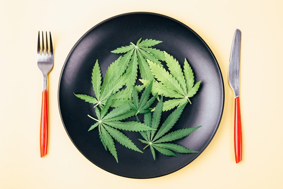 Cannabis leaf on a plate.