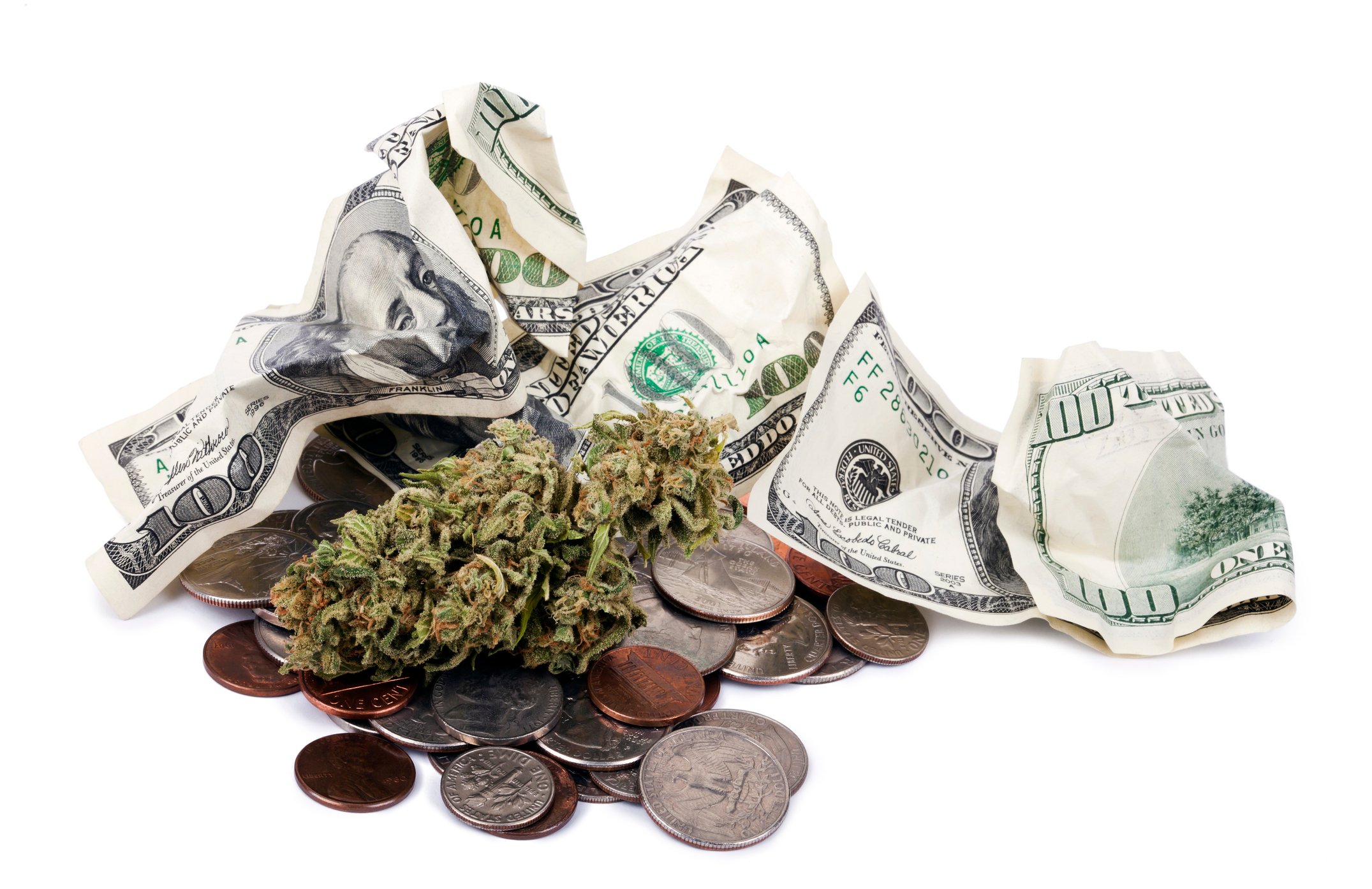 Crumpled hundred-dollar bills and loose change next to a dried marijuana plant