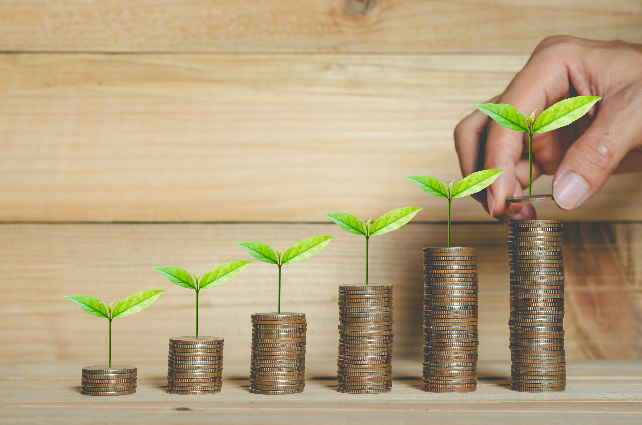 esg-investing-concept