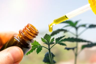Cannabis derivative and plant