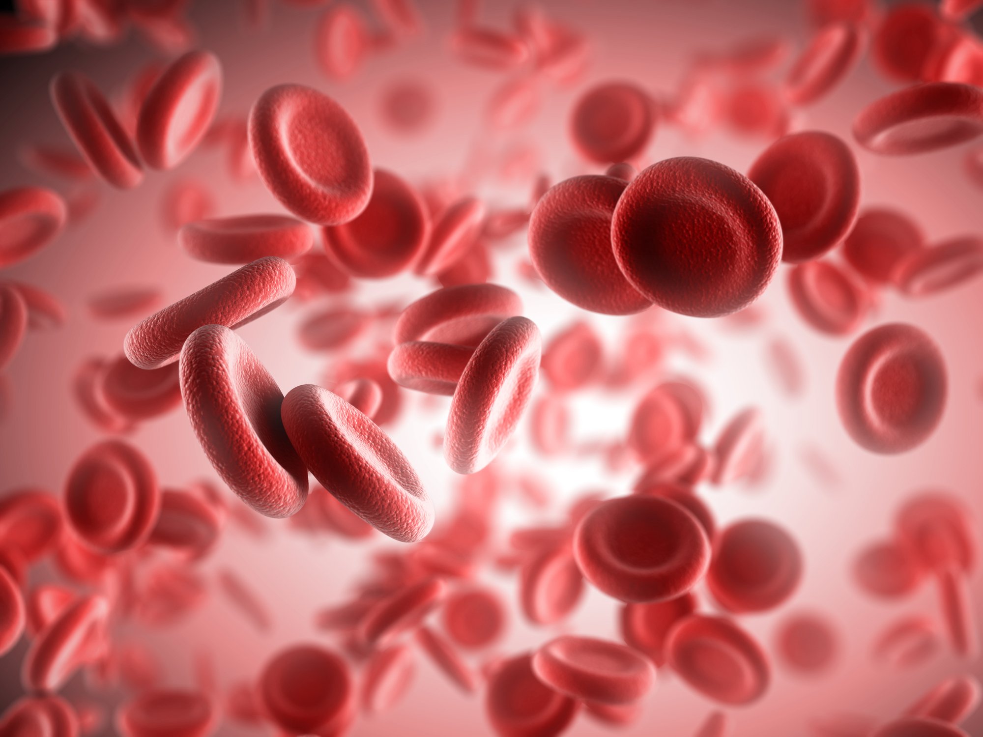 Red blood cells.