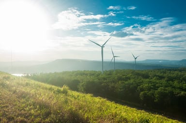 Wind Turbines on a Hill with Small Trees
