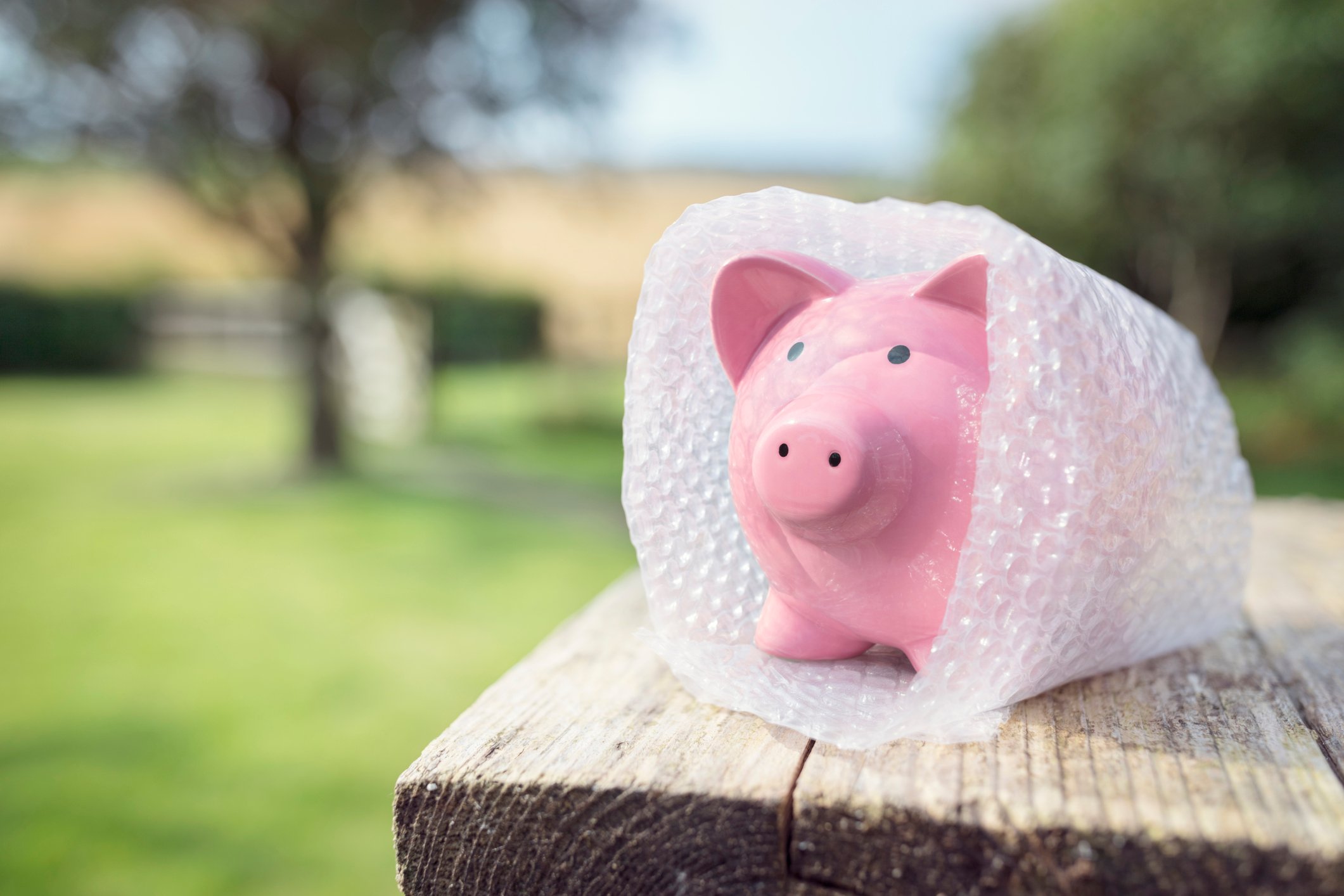 A piggy bank is shielded by bubble wrap, representing the concept of savings protection.
