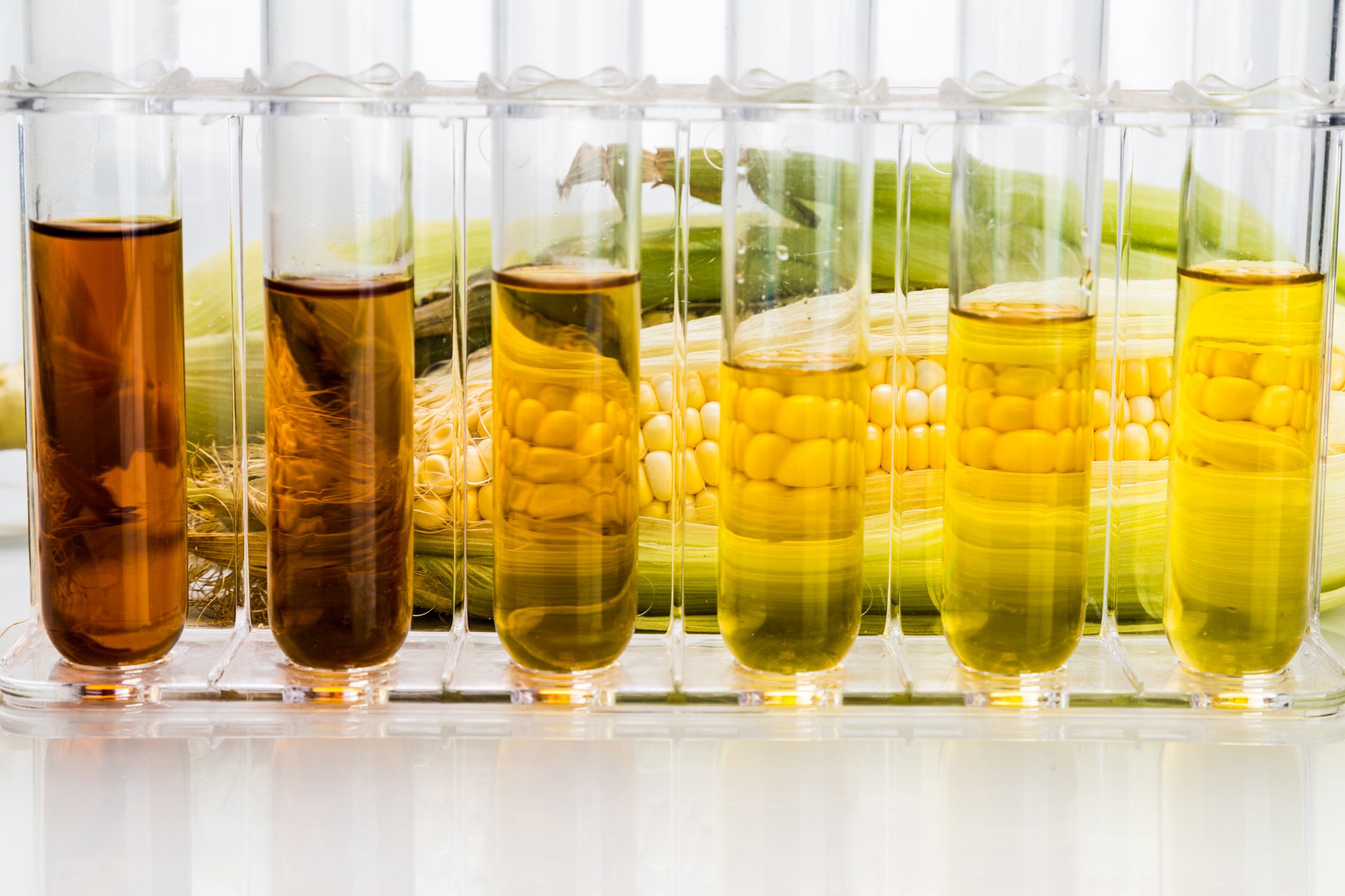 Corn ethanol in test tubes. 