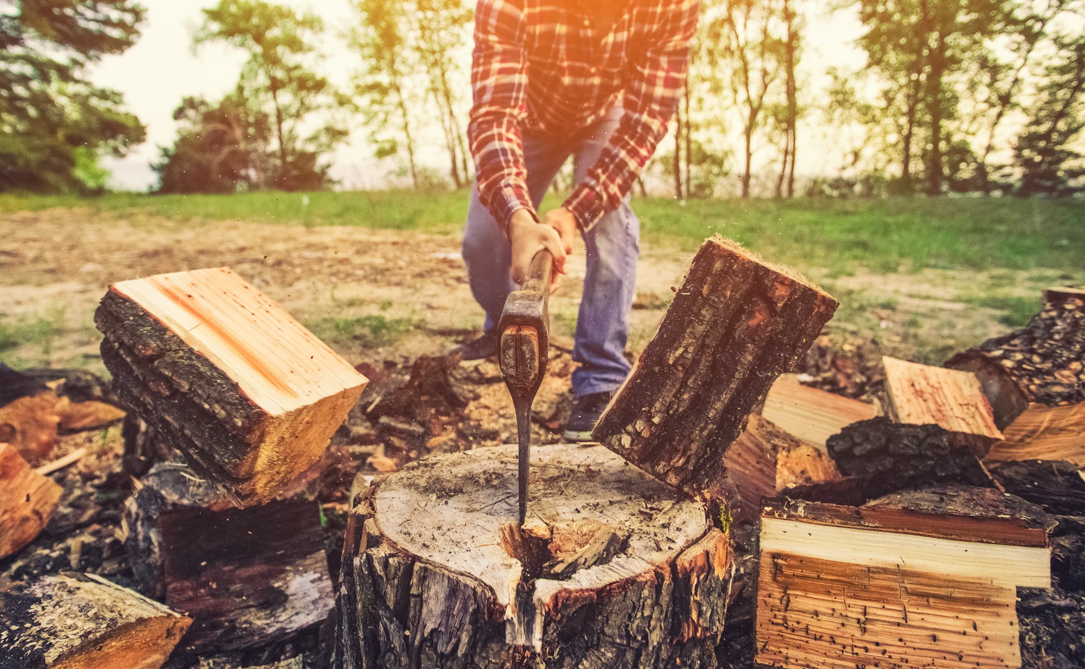 Lumberjack splitting a log in two with an axe