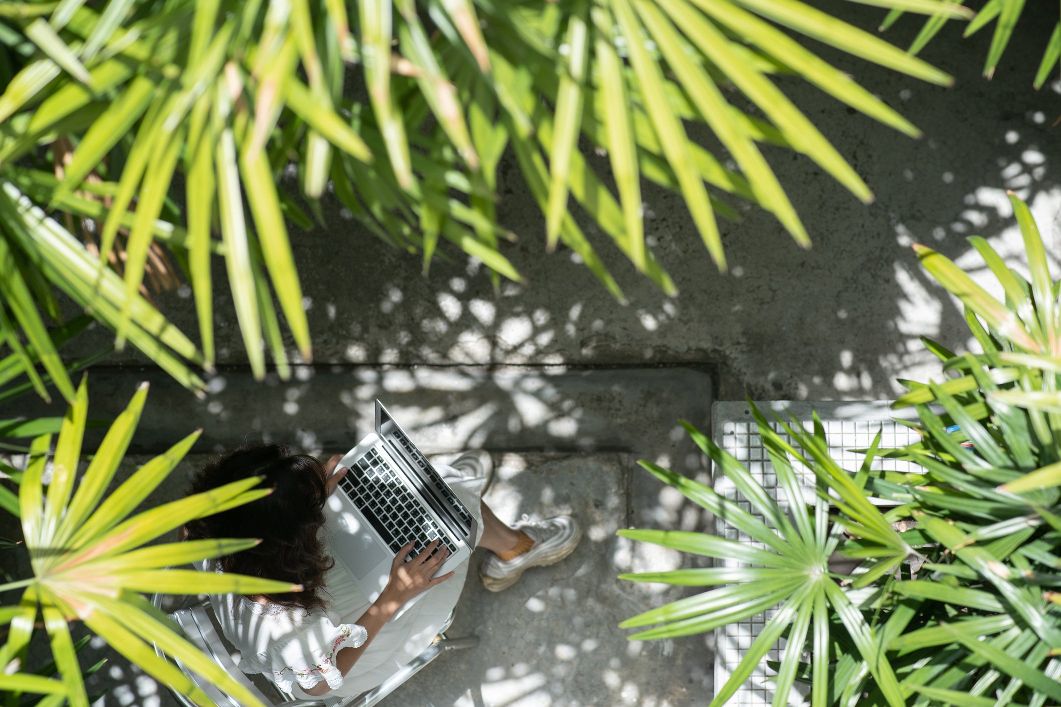 Overhead shot of woman working on a laptop in leafy backyard.