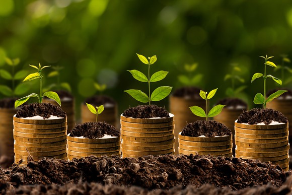 Several stacks of coins lay in the dirt with small green plants growing from each coin stack.
