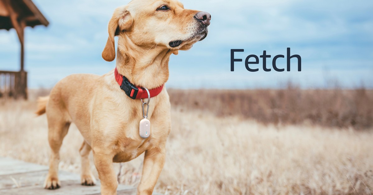 Dog wear Tile tracking device on collar