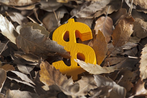 A dollar sign in a pile of leaves.
