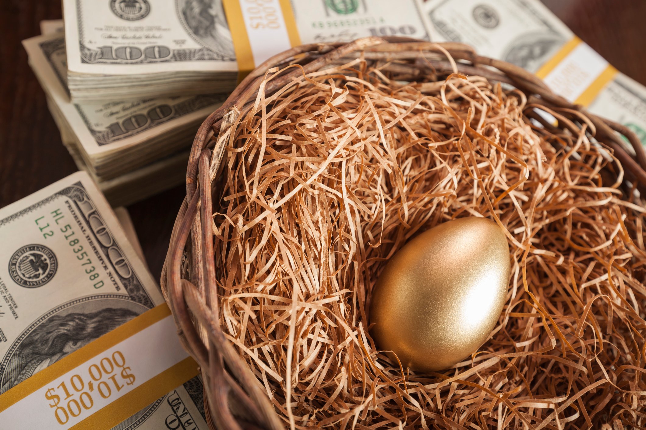 nest egg cash