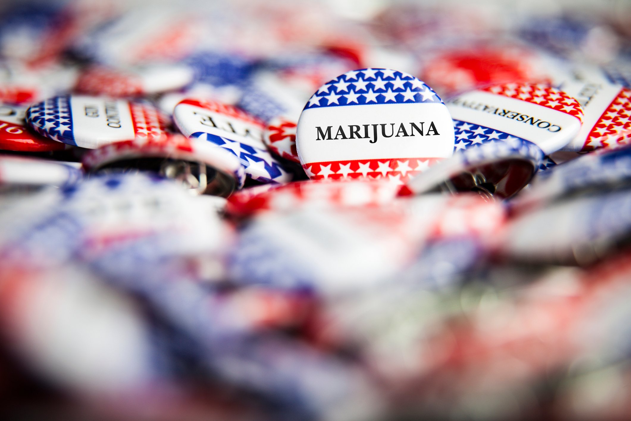 Marijuana voting buttons.