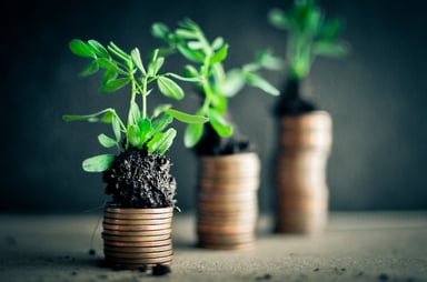 Plants Growing On Top of Coins Money Growth Getty