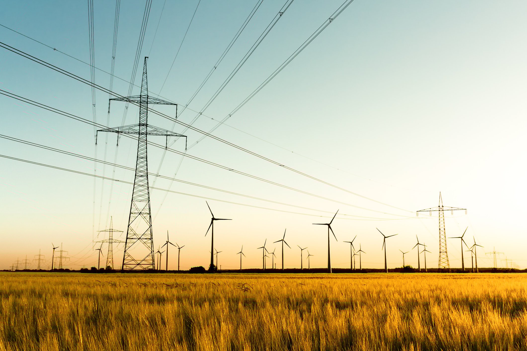 Power lines and wind turbines in a field.